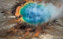 Экстремальные водоросли обещают альтернативный белок