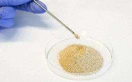 Шведы будут производить новый ингредиент для аквакорма из побочных продуктов бумаги