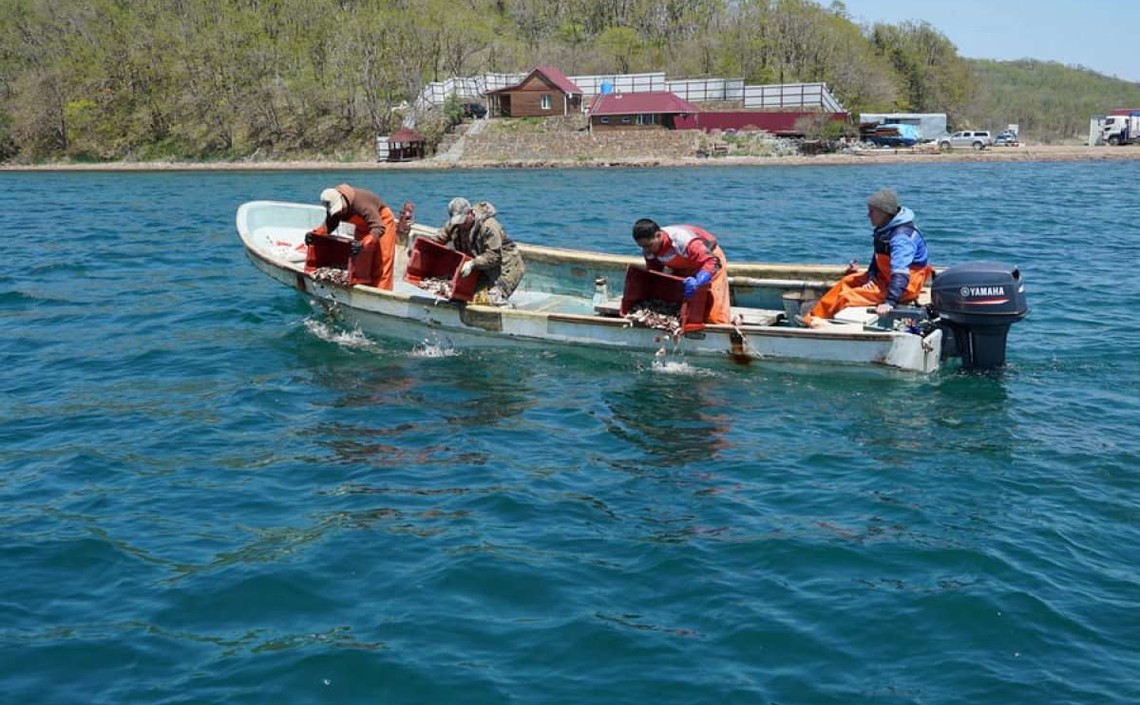 Аквакультура массового уходит в море в Приморье