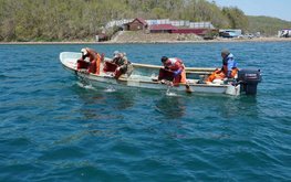 Аквакультура массового уходит в море в Приморье