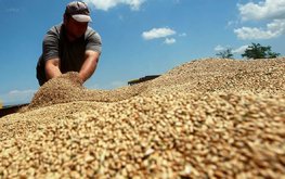 Россия снижает экспортные пошлины на пшеницу