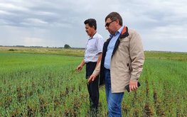 Новосибирская область из-за засушливой погоды планирует закупать корма в других регионах