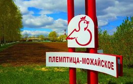 Вологодское птицеводческое предприятие  подтвердило статус племрепродуктора