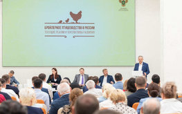 Минсельхоз: Россия полностью обеспечивает потребность в мясе птицы
