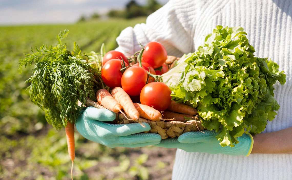 По всей России будут вводить агроагрегаторы фермерской продукции
