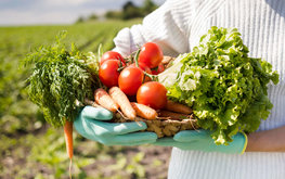 По всей России будут вводить агроагрегаторы фермерской продукции