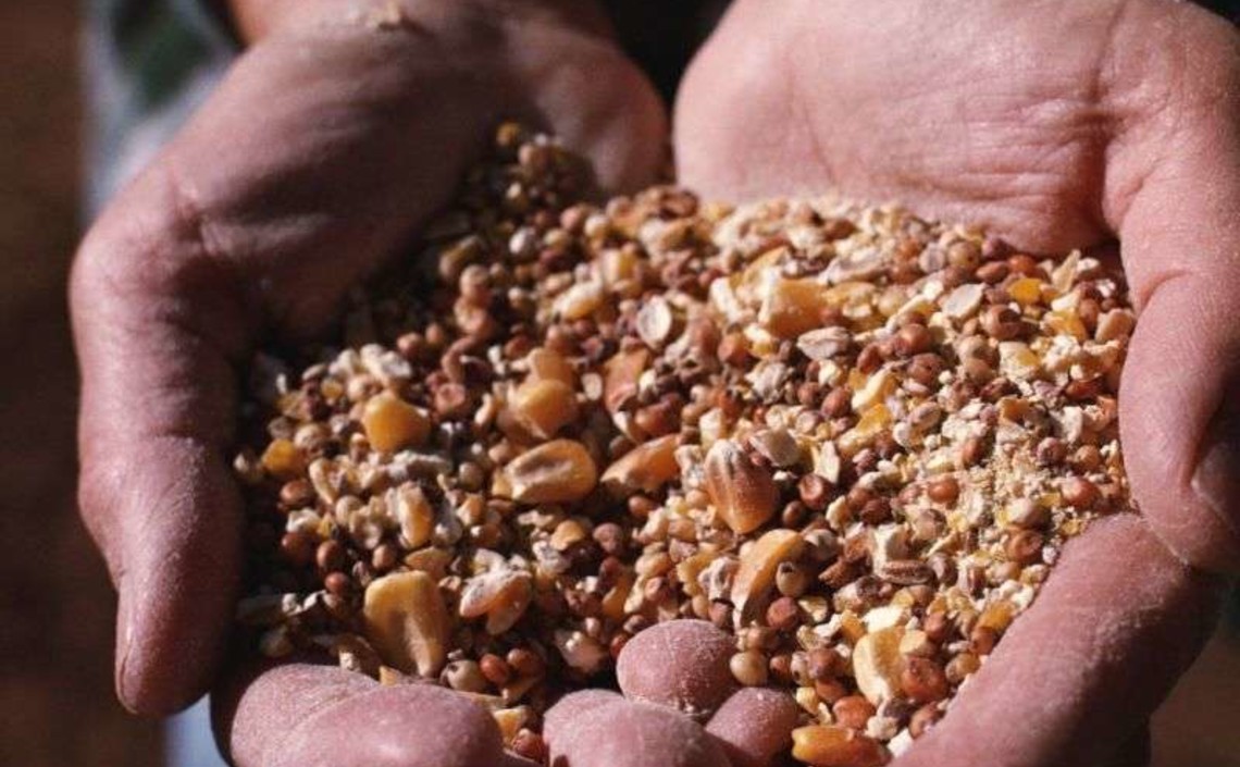 Агро-Матик разрабатывает новые продукты