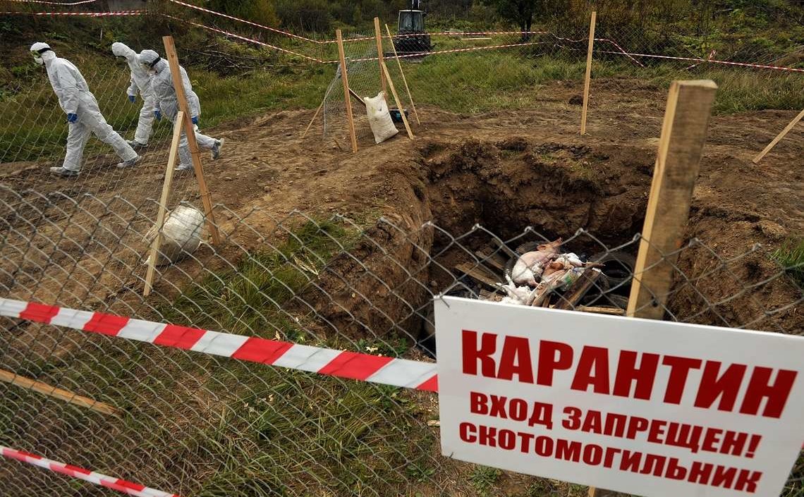 Правительство запретит строить новые скотомогильники в РФ