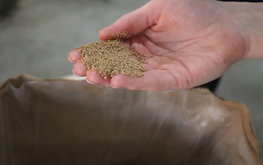 Среди кормовых витаминов и аминокислот по итогам июня стремительнее всего подорожал валин