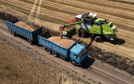Минсельхоз Киргизии хочет наложить запрет на экспорт кормов