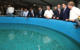 Министр сельского хозяйства России оценил развитие аквакультуры в Омской области