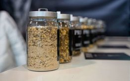 Россия снизила импорт кормовых ферментов