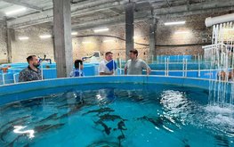 Глава Росрыболовства посетил комплекс по производству осетровых и форели в Волгоградской области