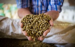 Минсельхоз: производство комбикормов в России увеличилось на 4%