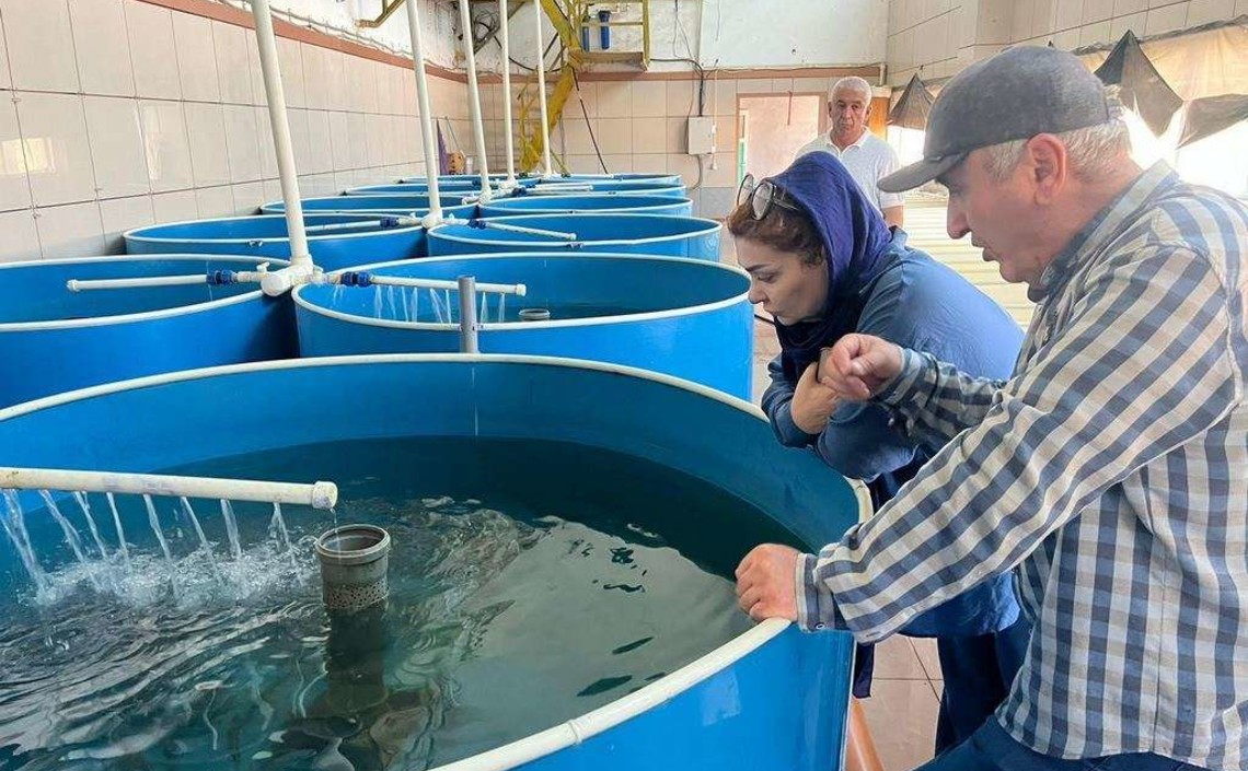 В Дагестане проверили реализацию инвестпроектов на рыбных хозяйствах