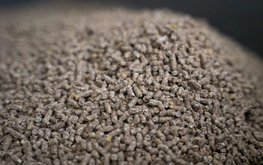Киргизия на полгода запретила вывоз из страны ряда кормов для животных