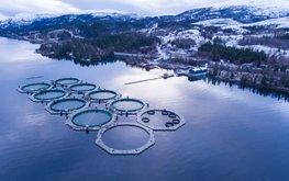 В Финляндии отмечен рост объёмов и стоимости продукции аквакультурыfishandfly.com