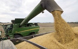 США сократили экспорт сои до минимума за 3 года