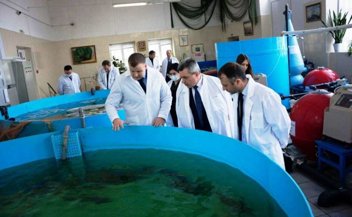 В Волгограде будут производить корма для рыбы на основе тростника