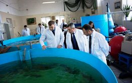 В Волгограде будут производить корма для рыбы на основе тростника