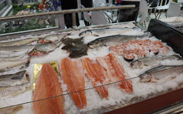 Росрыболовство допускает увеличение плановых показателей по аквакультуре