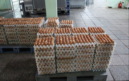 Птицеводство в Новосибирской области демонстрирует рост показателей