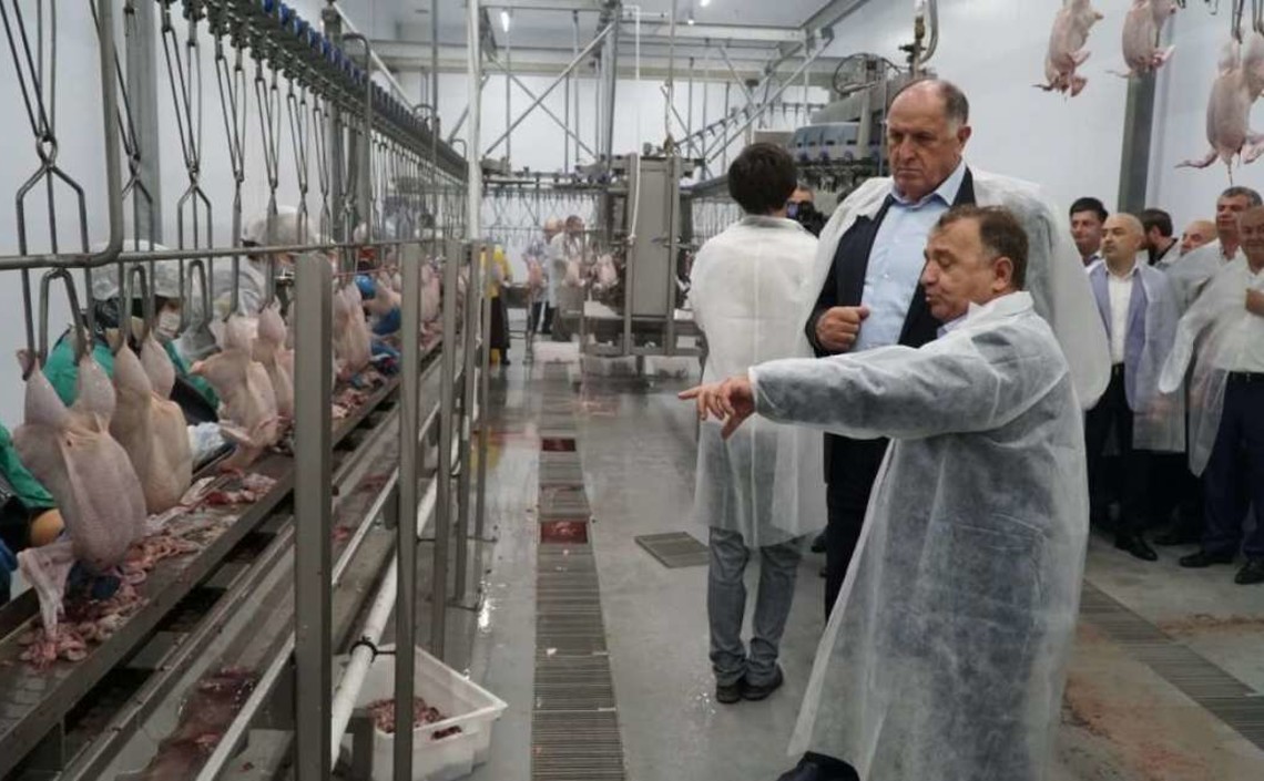 Птицефабрика в Дагестане планирует утроить производство мяса птицы