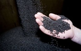 Доля импорта на российском рынке кормов для рыб снизилась