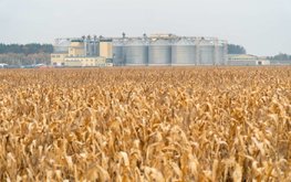 Производство комбикормов в России увеличилось на 2,5%