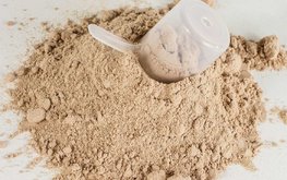Газпром обсудит выпуск биотехнологического кормового белка из метана