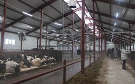 В Верховажском округе Вологодской области модернизировали два животноводческих комплекса