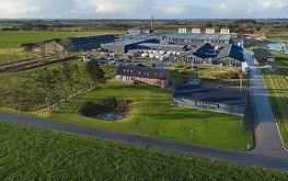 Открывается крупнейшая ферма насекомых в Северной Европе