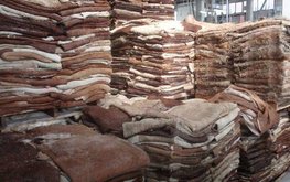 В Казахстане производят корм для птиц из шкур