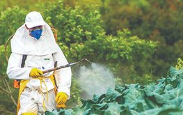 Россельхознадзор предлагает упростить порядок регистрации биопестицидов
