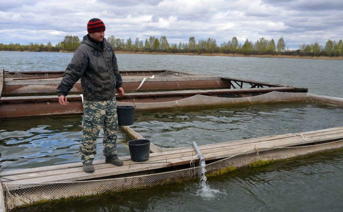 Озера Западной Сибири подготовили под аквафермы