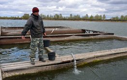 Озера Западной Сибири подготовили под аквафермы