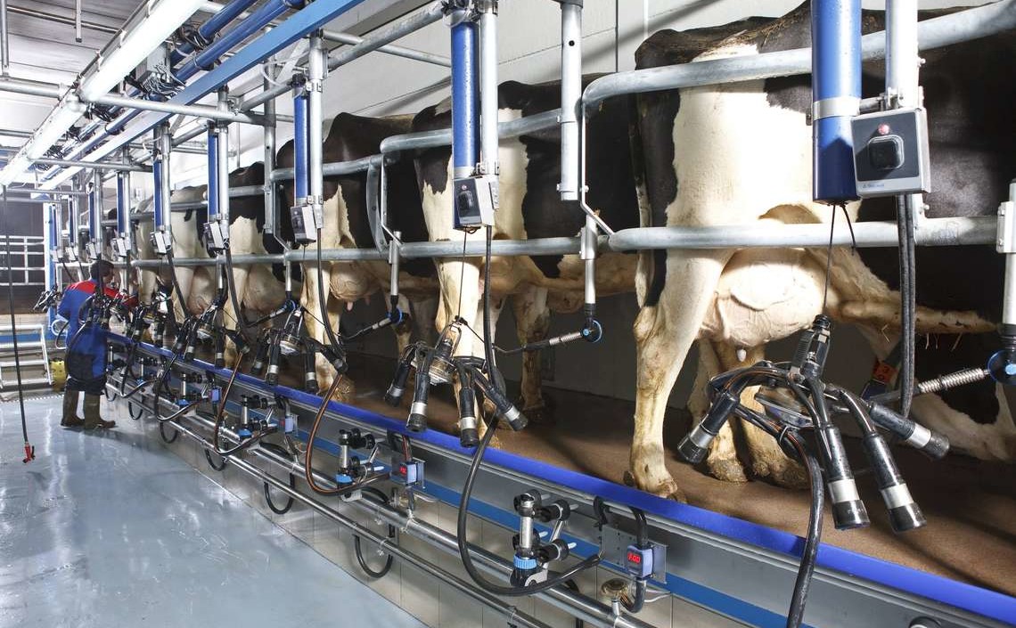 На Ставрополье внедрят генетические технологии для повышения продуктивности скота