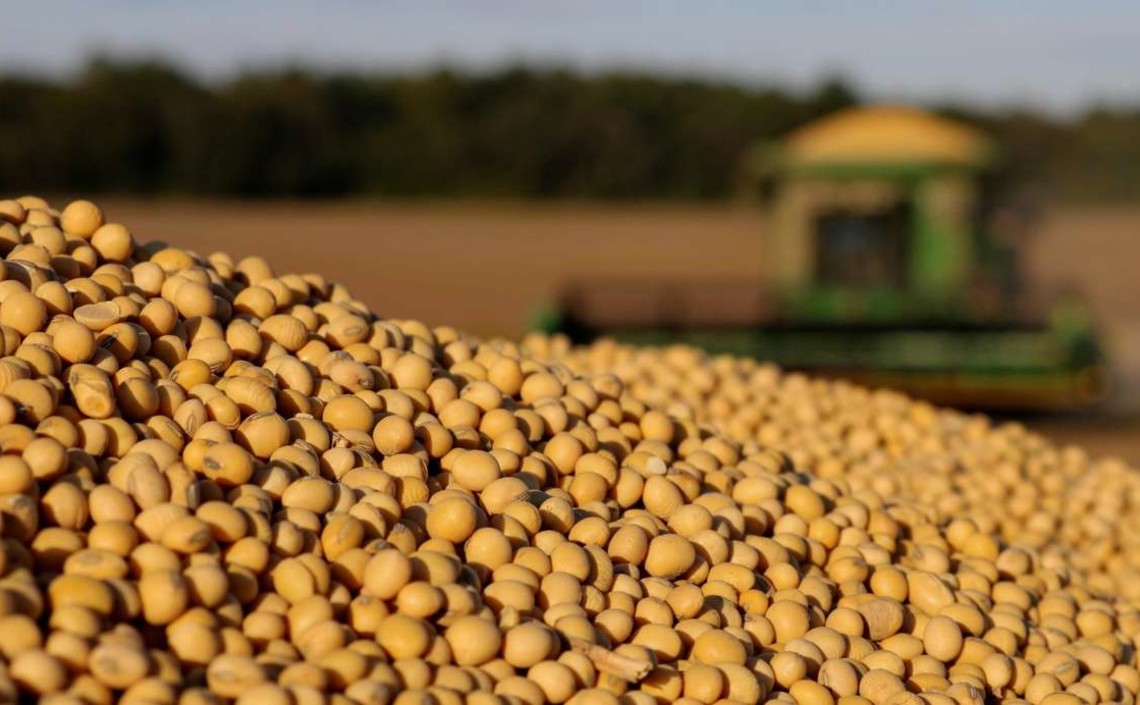 USDA: Китай останется ведущим импортёром сои в ближайшие 10 лет