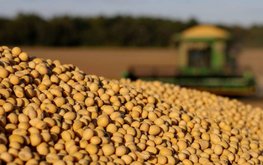 USDA: Китай останется ведущим импортёром сои в ближайшие 10 лет