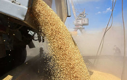 В Госдуме обеспокоились ситуацией с ценами на зерновом рынке