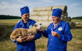 В России увеличилось производство ветеринарных препаратов