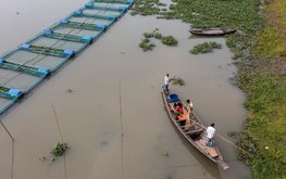 Доклад ФАО: производство продукции рыболовства и аквакультуры в мире достигло исторического максимума