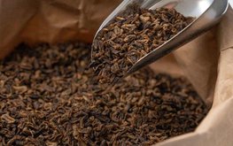 Завод по производству кормов из насекомых строят  в Венгрии