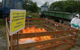 Минсельхоз РФ определит перечень биологических отходов