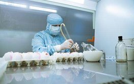 Ирак будет приобретать российские вакцины