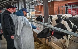 Татарстан в 2024г намерен увеличить производство молока