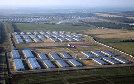 Фермы &laquo;Самарского бройлера&raquo; перешли под контроль ГАП &laquo;Ресурс&raquo;