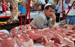 Россельхознадзор: производители не смогут ввести в оборот мясо и молоко от немаркированного скота