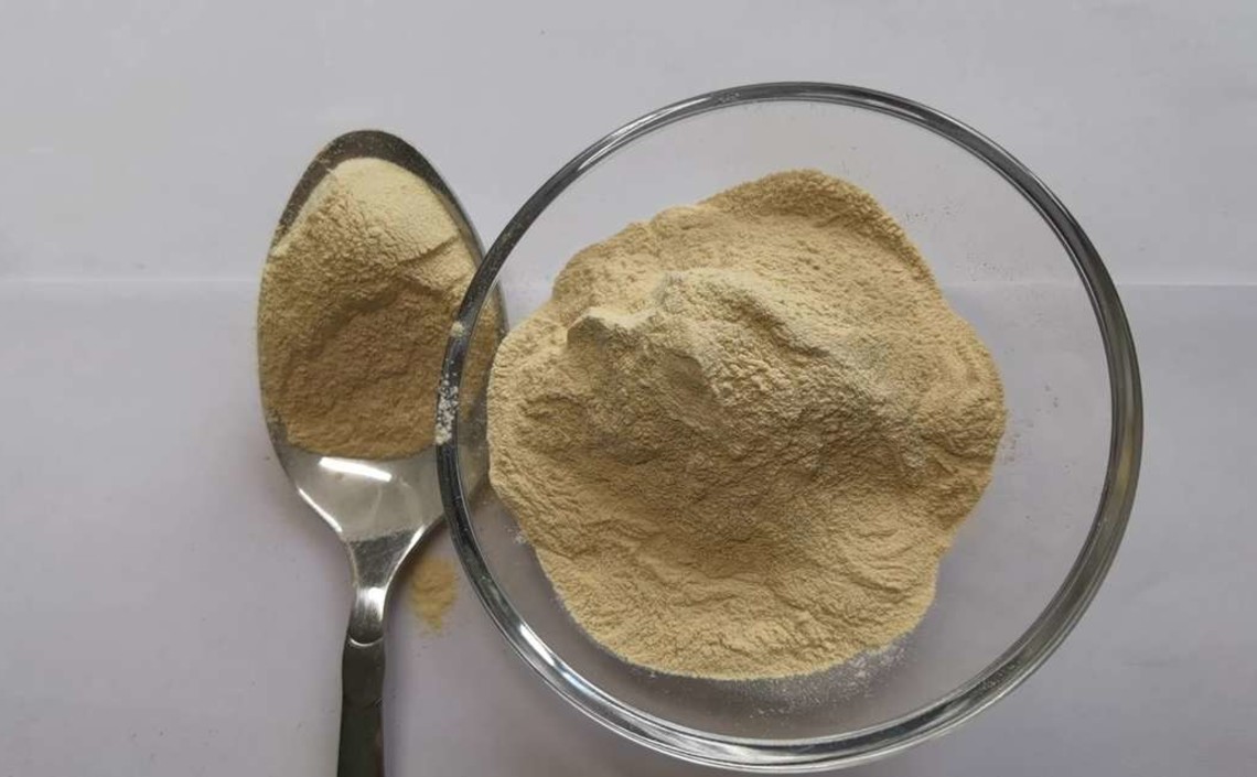 Голландская компания выделила белок из картофеля