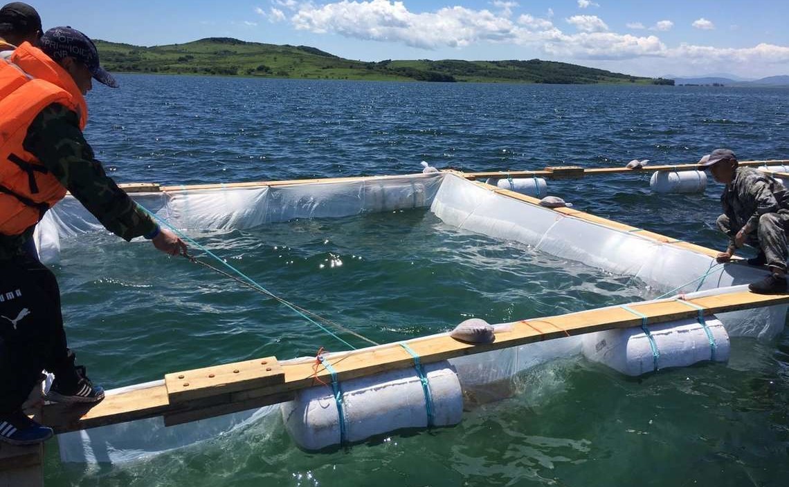 Для развития аквакультуры в Приморье появился специальный проектFishnews